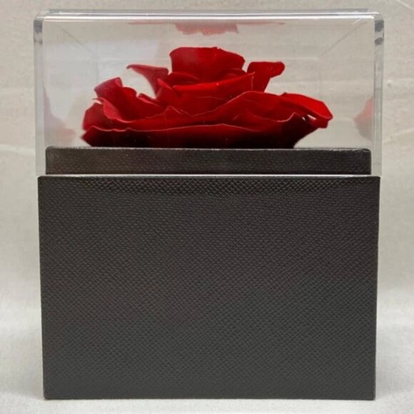 Eternal Rose Preserved Flower Jewelry Box & Silvertone Gemstone Necklace Gift - Picture 8 of 13